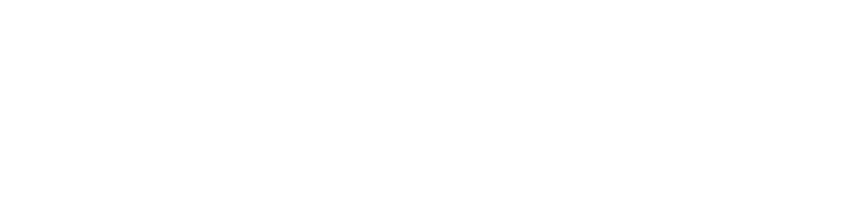 Vainqueur Cheval